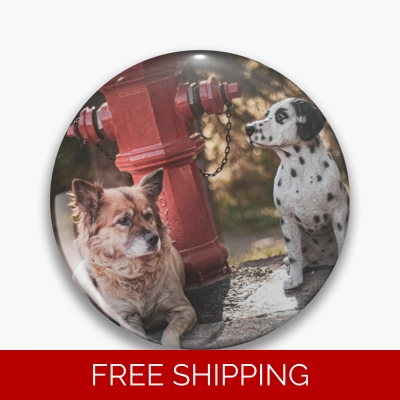 Le Studio Pin Rush Signals Statue 2 Dogs